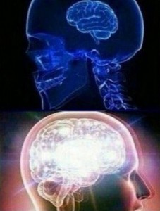 Create meme: brain, meme brain, small brain