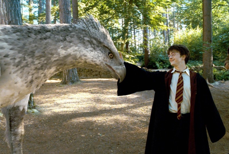 Create meme: prisoner of azkaban harry, harry Potter prisoner of azkaban, Buckbeak from Harry Potter