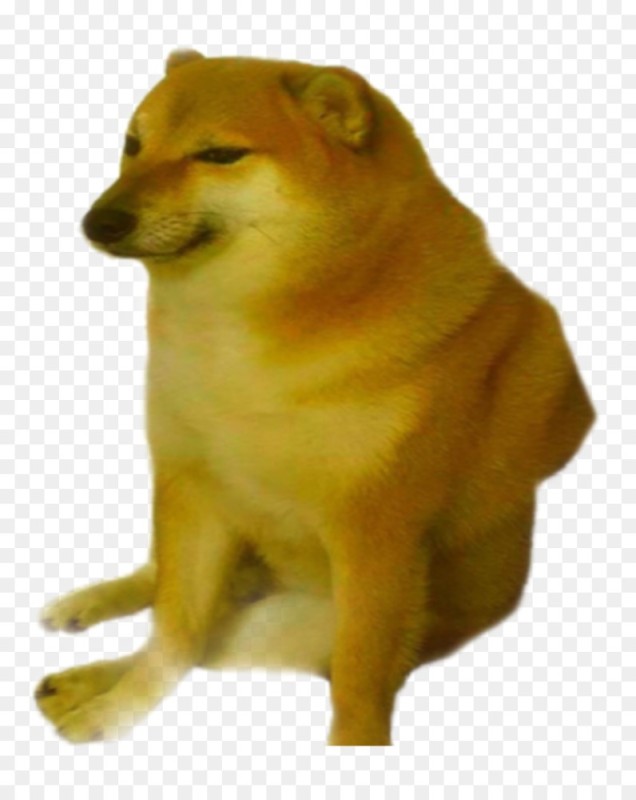 Create meme: doge dog , dog Shiba inu, Shiba inu doggie