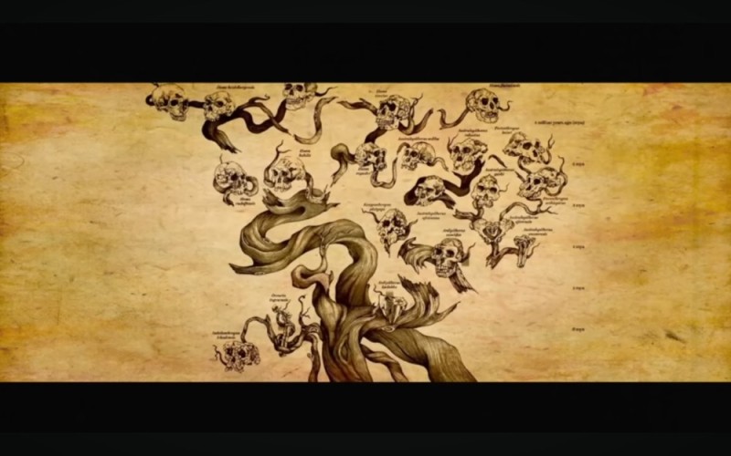 Create meme: The Alice in Wonderland Oracle, The great tree, fantasy map