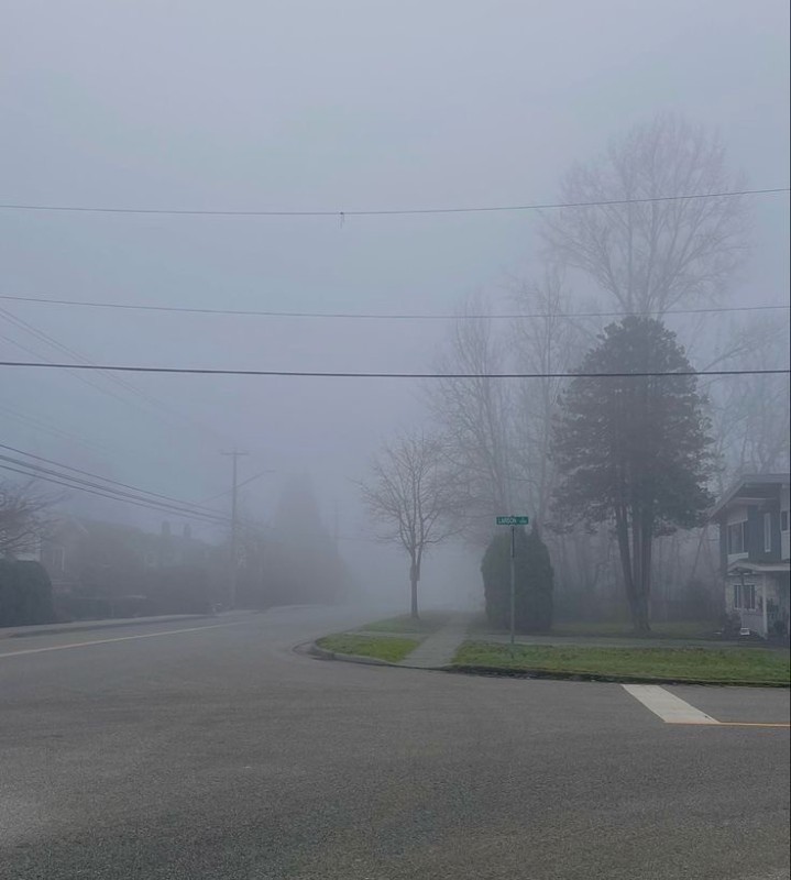 Create meme: fog , thick fog , road 
