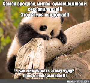 Sozdat Komiks Mem Panda Panda Malenkaya Panda Baby Panda Komiksy Meme Arsenal Com