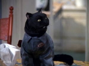 Create meme: salem saberhagen