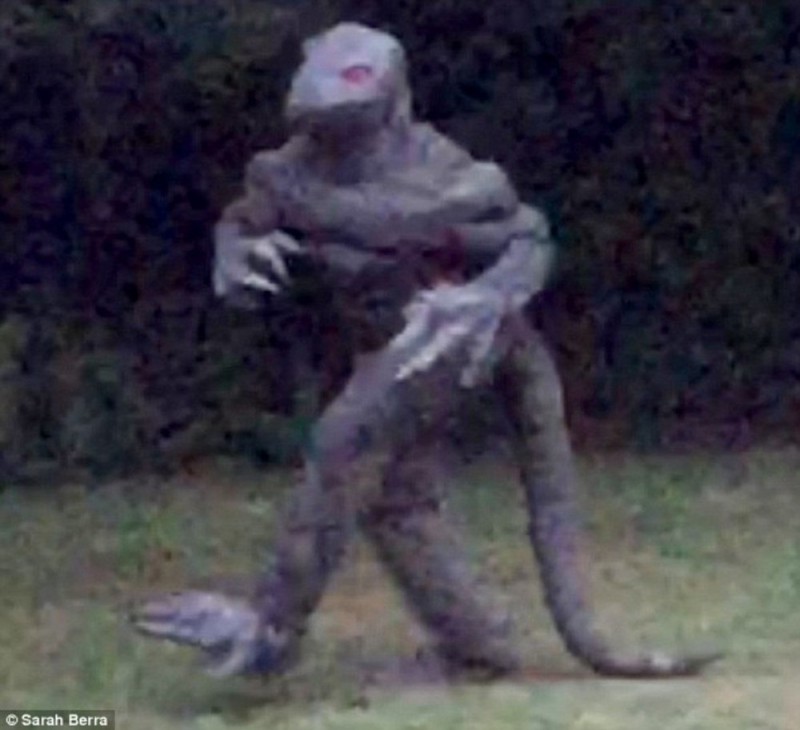 Create meme: lizard man cryptid, lizard man is an anomaly, lizard man from the swamp scape or