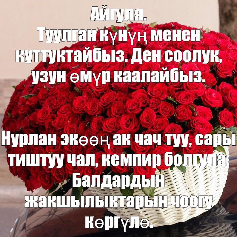 Нурлан туулган кун