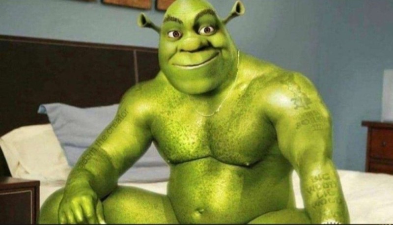 Create meme: Shrek , pumped up shrek, Shrek the hulk