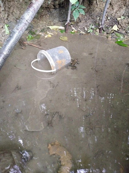 Создать мем: родник, вода из колодца, родничок