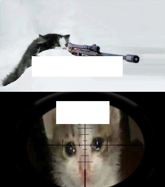 Create meme: Stalker memes , cat sniper, meme Stalker