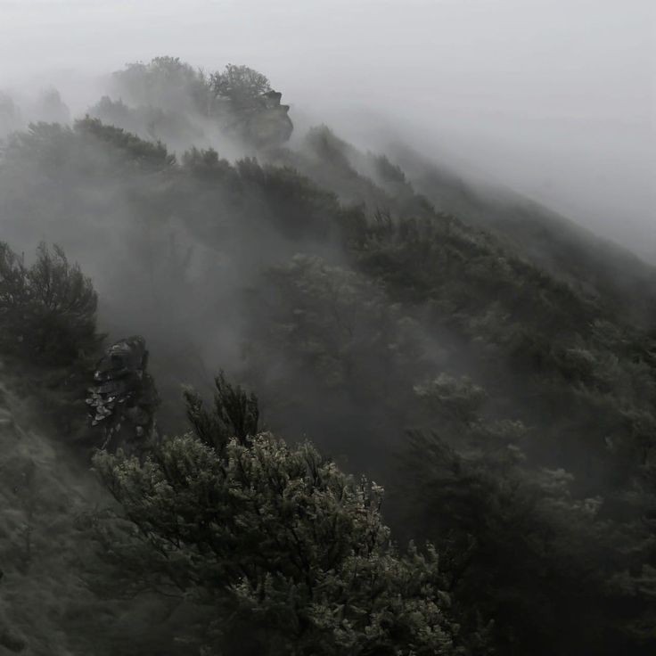 Create meme: mist mountains, nature , the landscape is gloomy