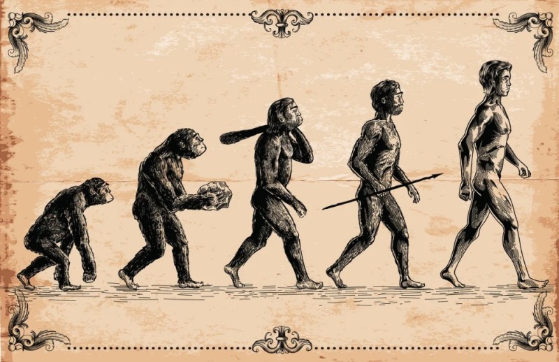 Create meme: the evolution of people, human evolution Darwin, charles darwin theory of evolution