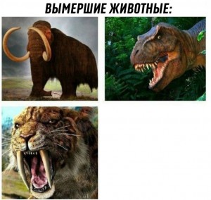 Создать мем: животное, 4 вида вымерших существ мем, мем вымершие животные