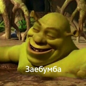 Create meme: Shrek, picture Shrek zabumba, not zabumba Shrek