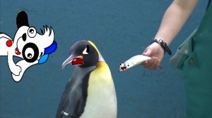 Создать мем: пингвин птица, пара пингвинов, недовольный пингвин