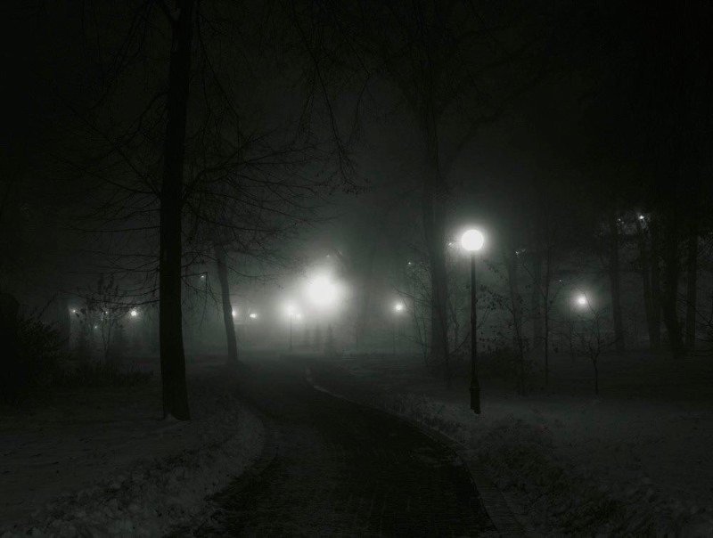 Create meme: fog night park, landscape , night mist
