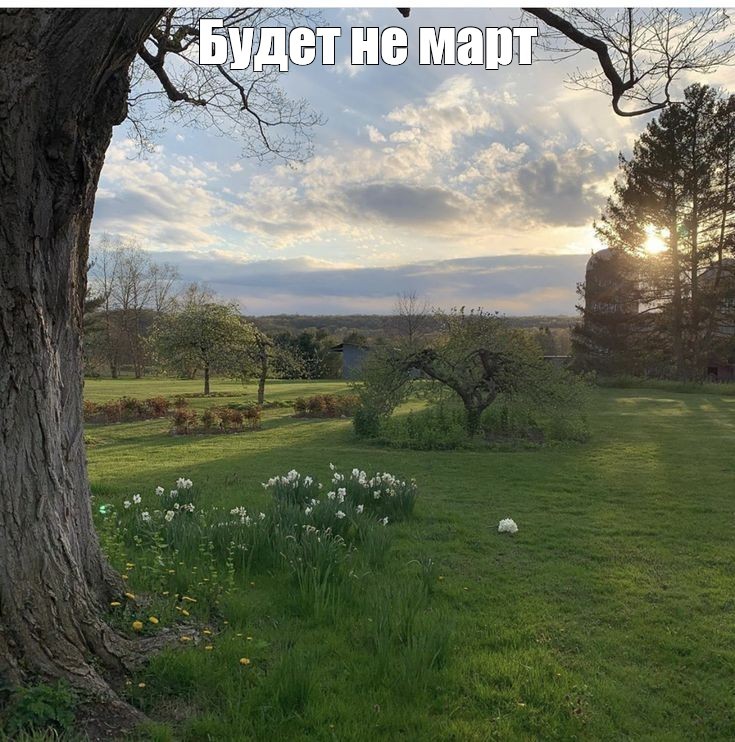 Create meme: the landscape is beautiful, nature spring, tree landscape