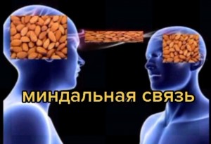 Создать мем: мозг, связи, человеческий мозг