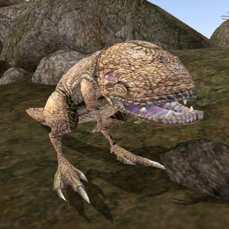 Create meme: guar morrowind, the elder scrolls iii: morrowind, guar tes