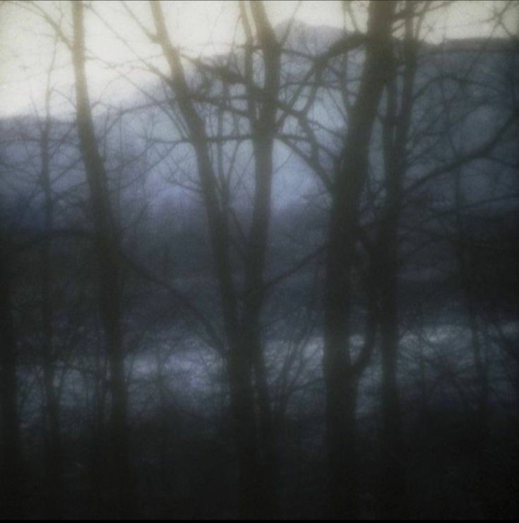 Create meme: dark photos, dark forest aesthetic, misty forest