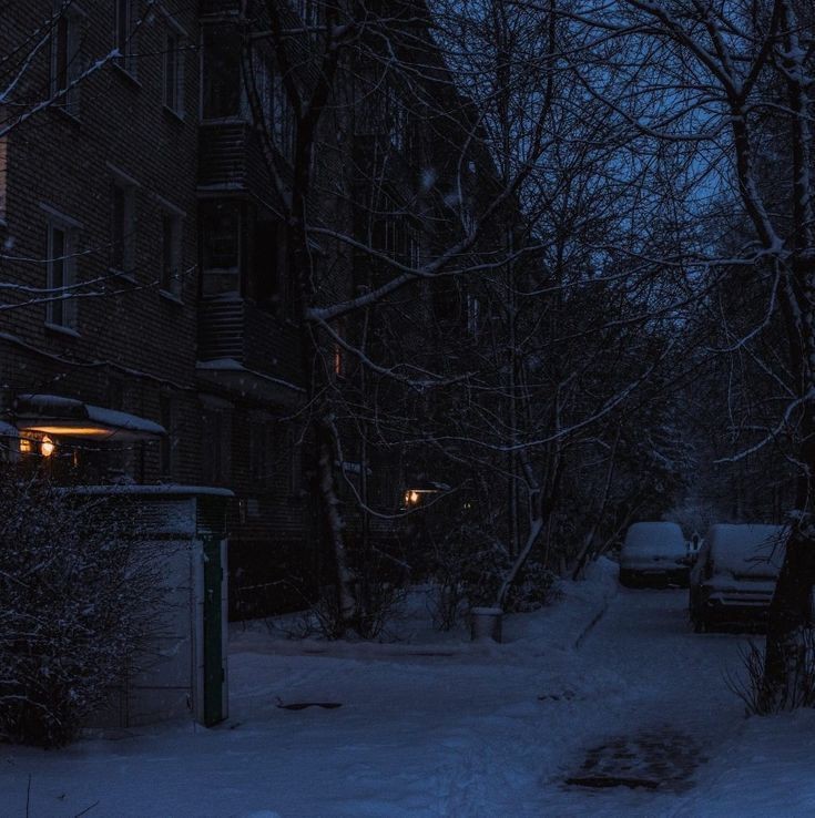 Create meme: yard at night, winter night, winter night in the city