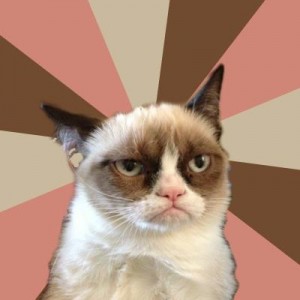 Create meme: grumpy cat, memes, meme sad