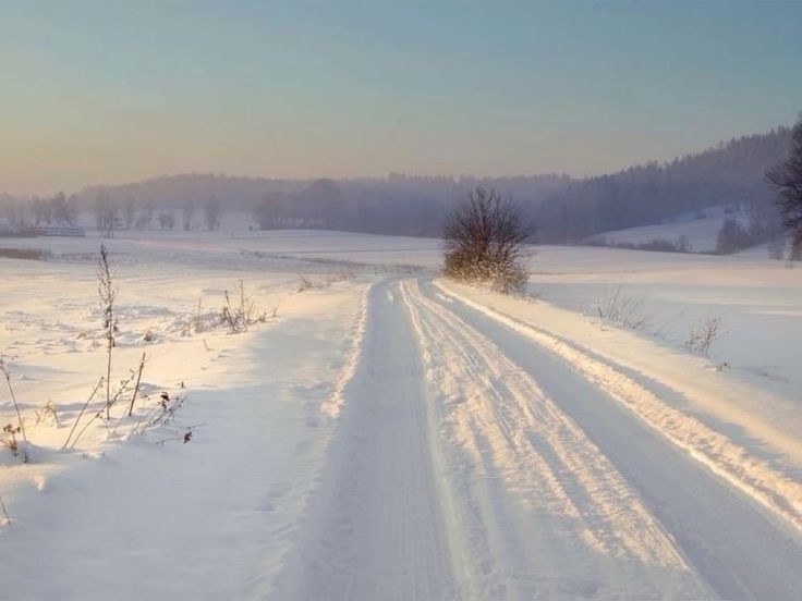 Create meme: landscape , winter road, On the snow