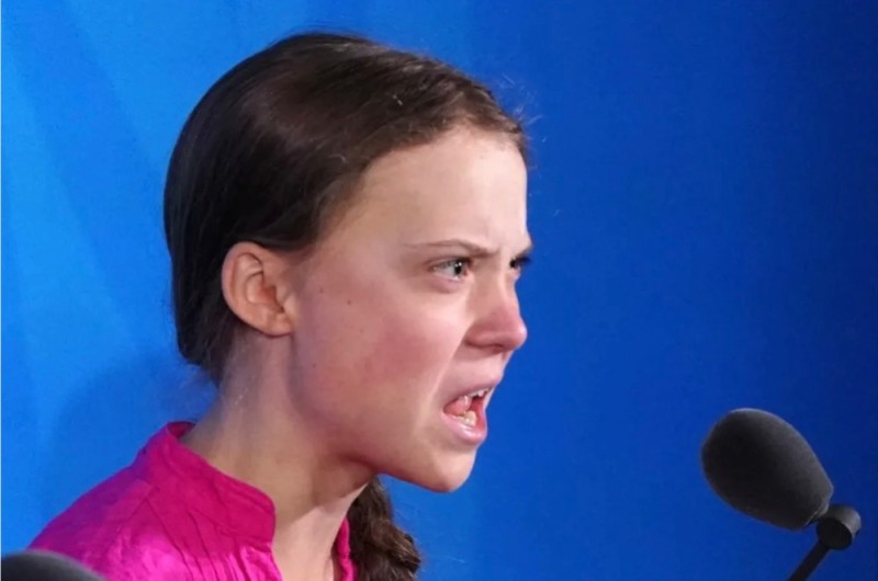 Создать мем: greta thunberg, мем грета тунберг, гретта тунберг