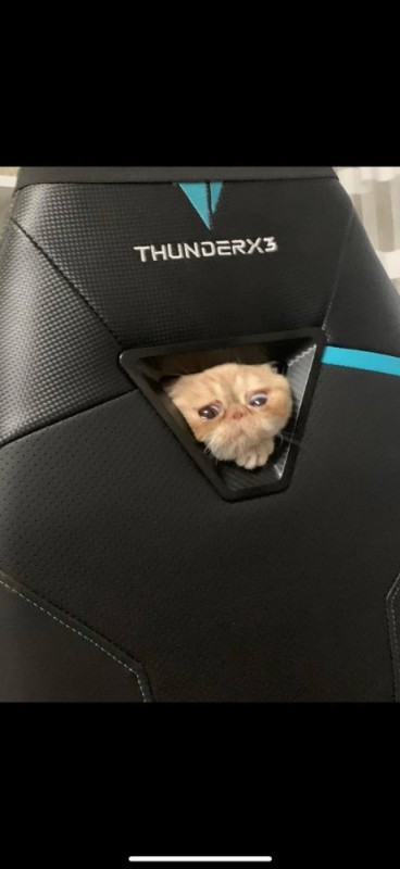 Create meme: thunderx3 tc5 limited edition, thunderx3 us5 gaming chair, thunderx3 ec1 armchair