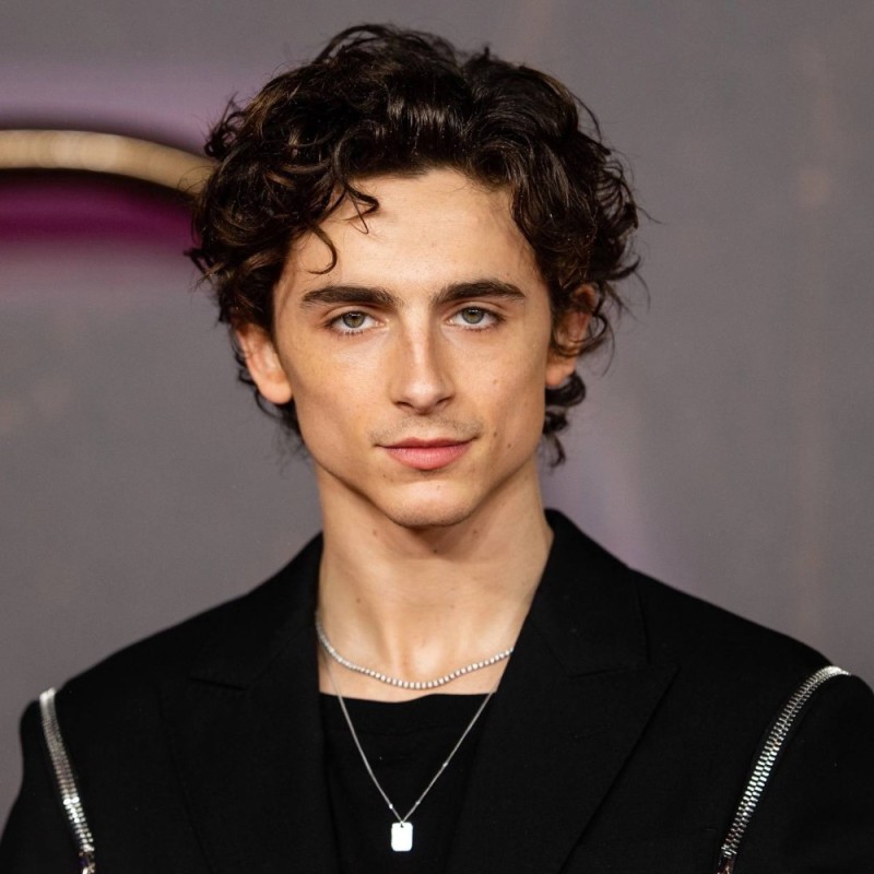 Create meme: timothy chalamet, actor timothy chalamet, chalame