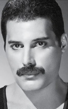 Create meme: Freddie mercury , portrait of freddie mercury, freddie mercury's doppelganger