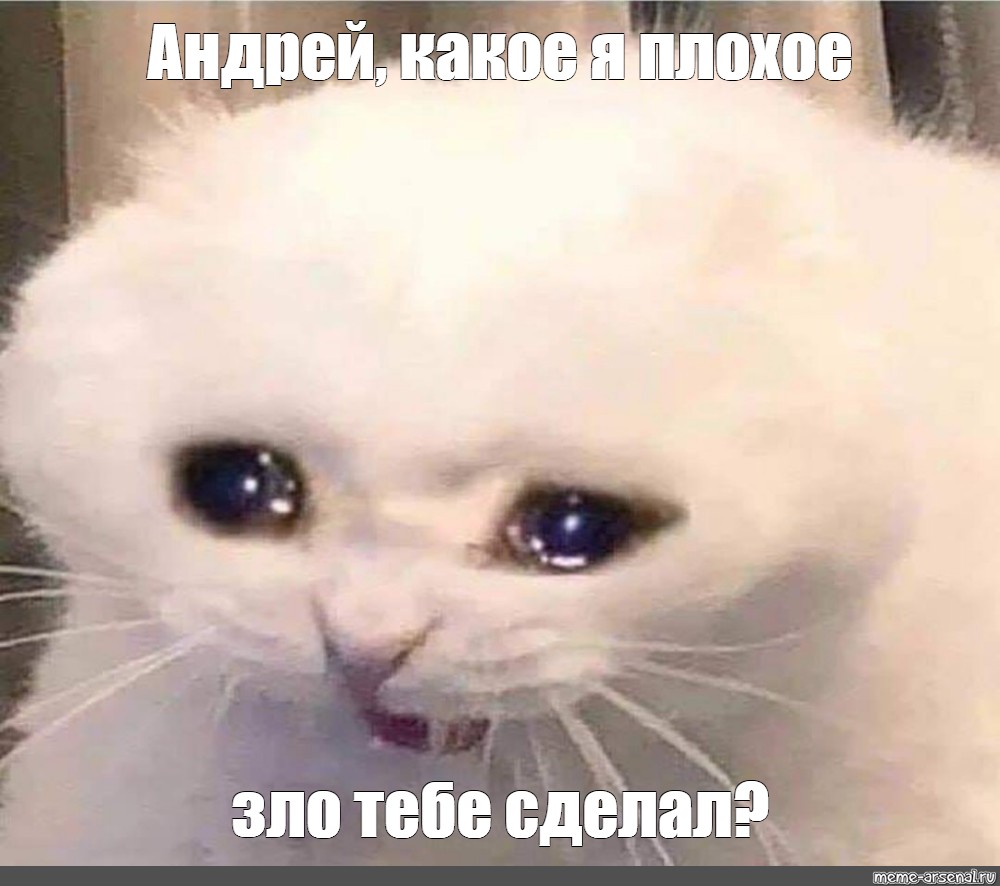 Поставь злой