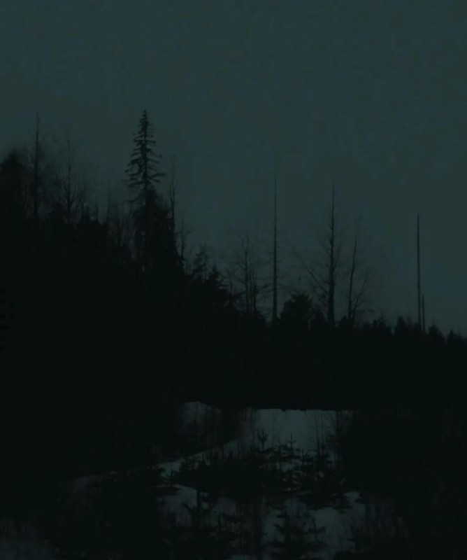 Create meme: night landscape, forest fog, darkness