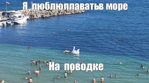 Create meme: beach Malaya Bukhta Anapa, went to the sea meme, our stay in Simeiz 2018