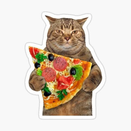 Создать мем: смешные коты, роллы пицца, кот с едой
