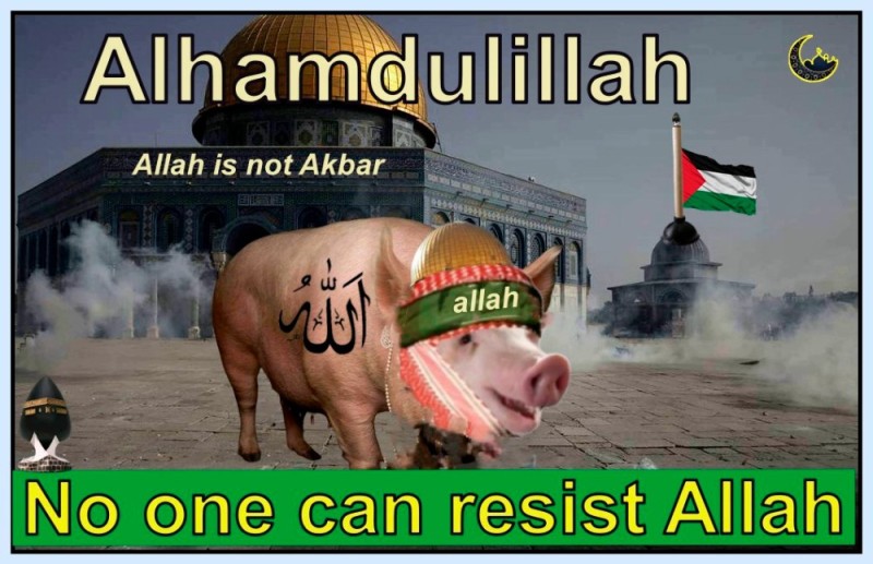 Create meme: muslim pig, pig , girl 