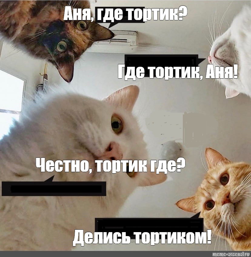 Не хотел делиться тортом