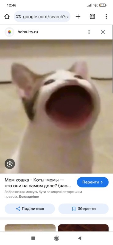 Create meme: cat mouth, cat with open mouth meme, a meme with a cat that opens its mouth