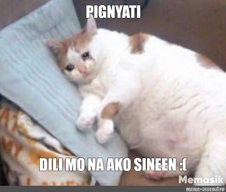 Meme Pignyati Dili Mo Na Ako Sineen All Templates Meme