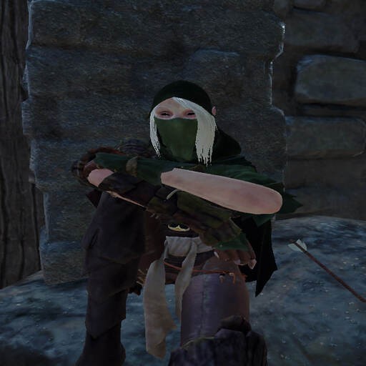 Create meme: Kerillian Warhammer, Kerillian warhammer, Skyrim hood of the Dark Brotherhood