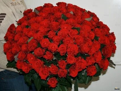 Create meme: roses are a huge bouquet, a large bouquet of roses, the bouquet of roses is gorgeous