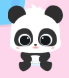 Create meme: baby panda, Panda , Panda Panda