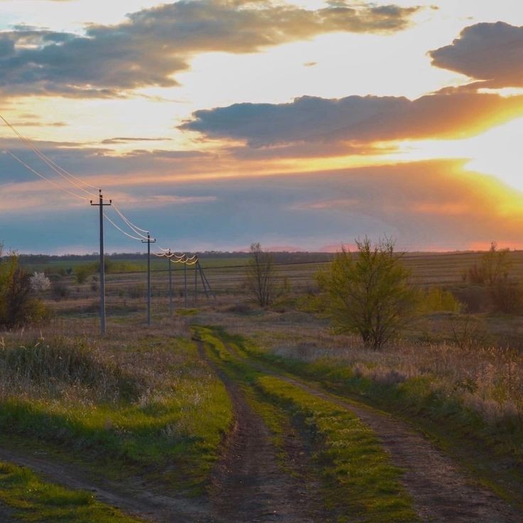 Create meme: the road field, sunset in the steppe, the road at sunset