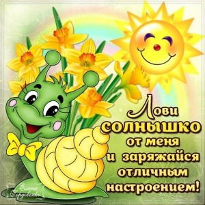 Create meme: the picture good morning have a nice day funny, smiles and good mood, postcards are a great spring mood