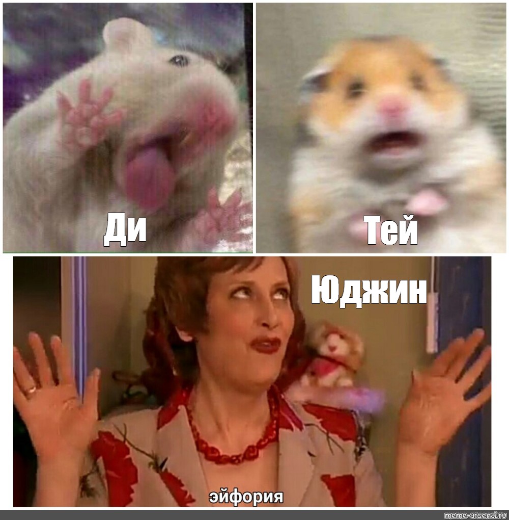 Hamster meme. Хомяк Мем. Мем с испуганным хомяком. Перепуганный хомяк Мем. Хомяк испугался Мем.