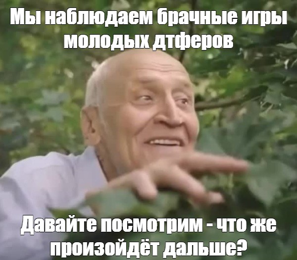 Что произойдет дальше. Дроздов в кустах. Дроздов мы с вами наблюдаем. Мы наблюдаем.