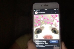 Create meme: cute cats with hearts, animals cute, cute cats