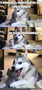 Create meme: husky meme, husky