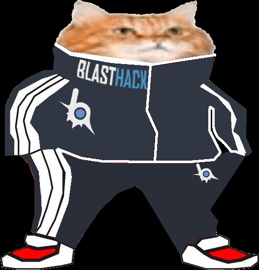 Create meme: a cat in a tracksuit, the cat in the Adidas, cats in adidas