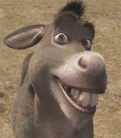 Create meme: shrek, donkey, donkey from Shrek