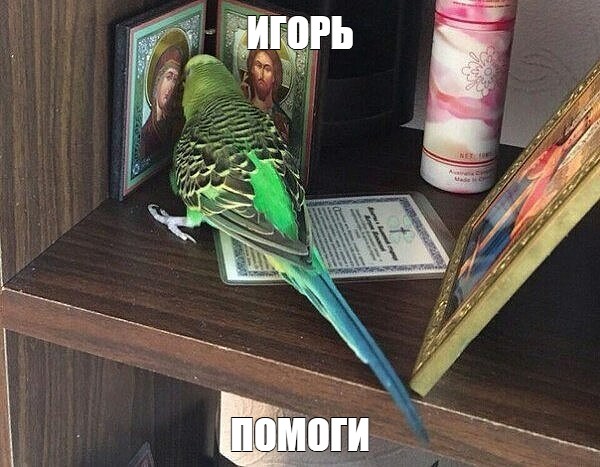 Создать мем: null