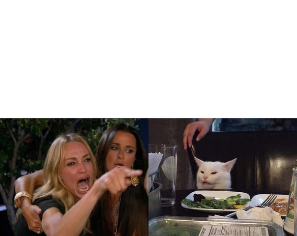 Create meme: the meme with the cat at the table, MEM woman and the cat, memes with two girls and a cat